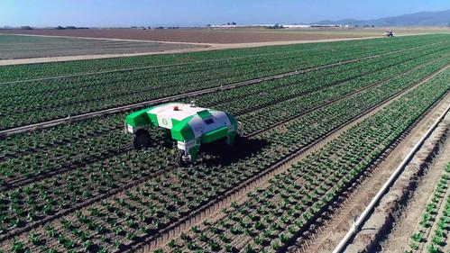 Backlight Season 19 Episode 7 - Episode 7