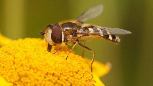 Springwatch Season 23 Episode 6 - Episode 4