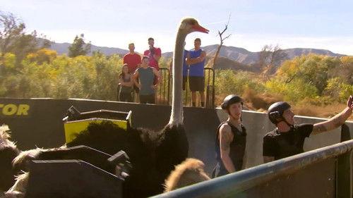 Fear Factor Season 2 Episode 19 - Music Star Showdown