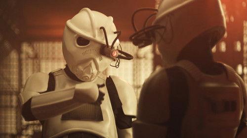 Background image for Gun Privileges