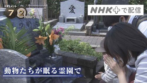 Document 72 Hours Season 11 Episode 24 - At the Pet Cemetery Where Animals Rest in Peace