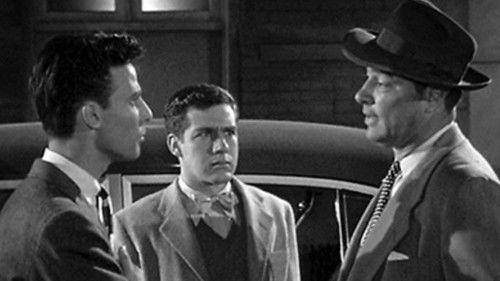 Adventures of Superman Season 2 Episode 17 - The Boy Who Hated Superman