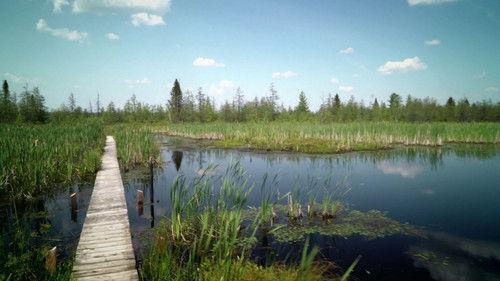 Découverte Season 32 Episode 7 - Episode 7