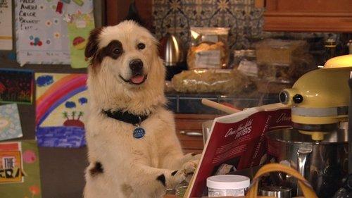 Dog with a Blog Season 2 Episode 12 - I Want My Nikki Back, Nikki Back, Nikki Back