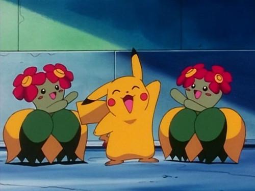Pokémon Season 3 Episode 6 - Flower Power