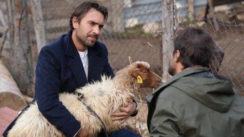 Deep in Love Season 1 Episode 5 - Episode 5