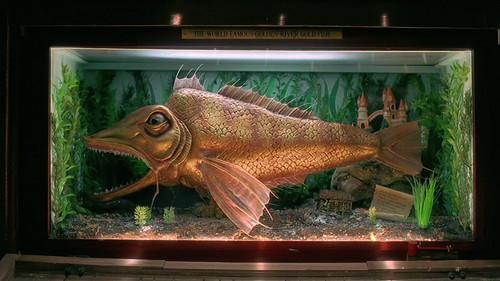 The 10th Kingdom Season 1 Episode 2 - Part 2