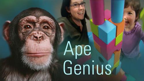 NOVA Season 35 Episode 12 - Ape Genius
