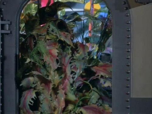 Voyage to the Bottom of the Sea Season 3 Episode 12 - The Plant Man