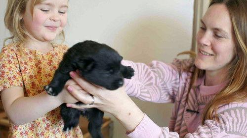 Hjälp, vi har köpt en bondgård! Season 2 Episode 2 - "The Relationship Is Saved!"