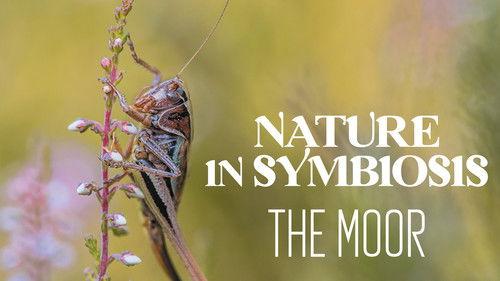 Associations de bienfaiteurs Season 1 Episode 2 - Episode 2