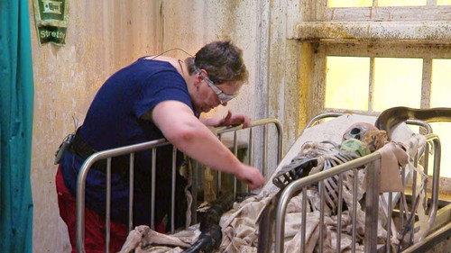 I'm a Celebrity...Get Me Out of Here! Season 18 Episode 10 - Hellish Hospital