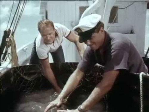 Flipper Season 2 Episode 16 - Flipper's Odyssey (1)