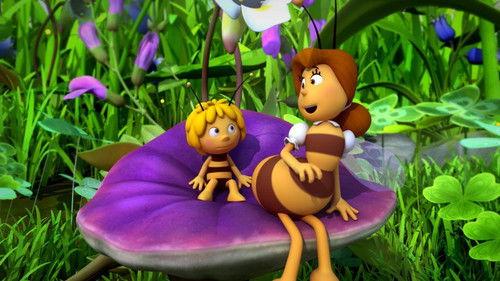 Maya the Bee Season 3 Episode 6 - Bless You Miss Cassandra
