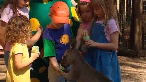 The Wiggles Season 3 Episode 6 - Watching the Waves