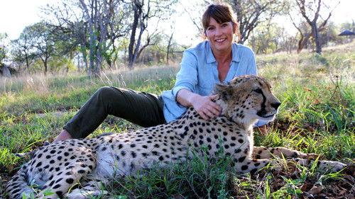 Nature's Miracle Orphans Season 2 Episode 3 - Santino & Shelley