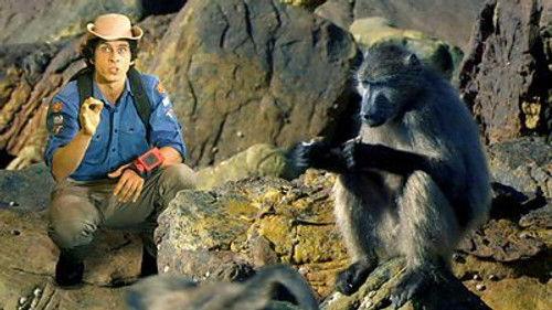 Andy's Wild Adventures Season 2 Episode 8 - Chacma Baboons