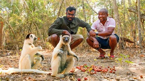 The Misadventures of Romesh Ranganathan Season 4 Episode 3 - Madagascar