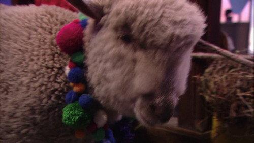 Heidi, bienvenida a casa Season 1 Episode 15 - Episode 15