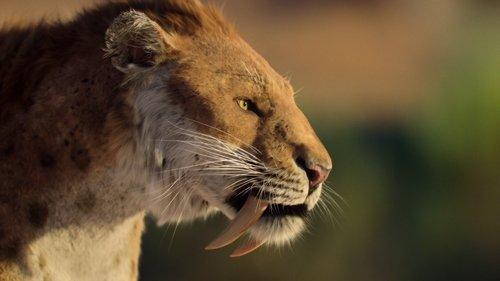 Life on Our Planet Season 1 Episode 7 - Chapter 7: Inheriting the Earth