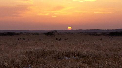 Wild Hokkaido! Season 4 Episode 6 - Kiritappu in Winter