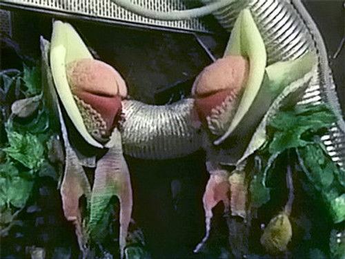 undefined Season 23 Episode 11 - The Trial of a Time Lord: Part 11