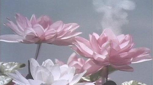 Mobile Cop Jiban Season 1 Episode 33 - The Milennium Lotus Blossomed on Garbo