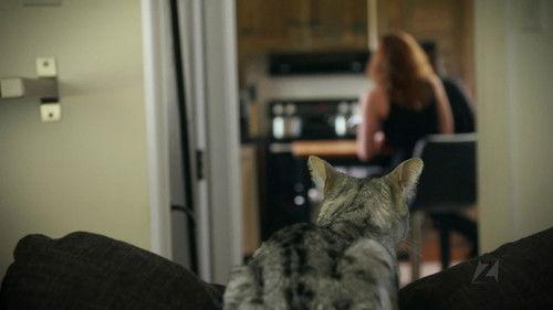 Infiltration Season 3 Episode 6 - Episode 6