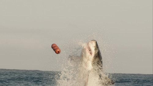 Descending Season 1 Episode 7 - The Big Six