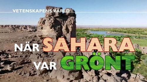 Vetenskapens värld Season 51 Episode 10 - When Sahara was green