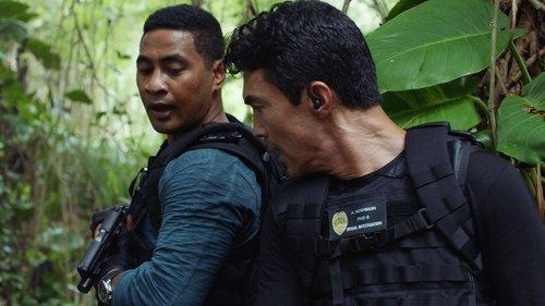 Hawaii Five-0 Season 10 Episode 8 - Neʻe aku, neʻe mai ke one o Punahoa (That Way and This Way Shifts the Sand of Punahoa)