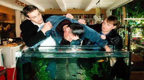 Background image for The Voyeur