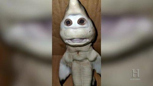 The Proof Is Out There Season 2 Episode 8 - Apocalyptic Lights & Baby Sharkman