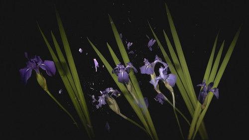 Core Kyoto Season 10 Episode 11 - Art Frontier: Creators Forge New Paths into the Future