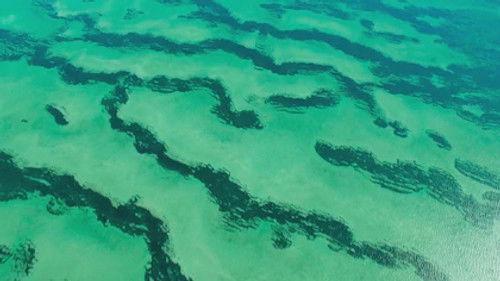 Découverte Season 31 Episode 1 - Episode 1