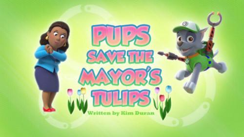 PAW Patrol Season 3 Episode 35 - Pups Save the Mayor's Tulips