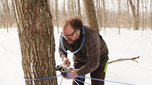 A Chef at the Shack Season 5 Episode 11 - Episode 11