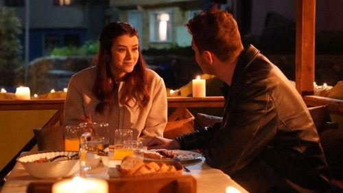 Street Birds Season 2 Episode 28 - Episode 49