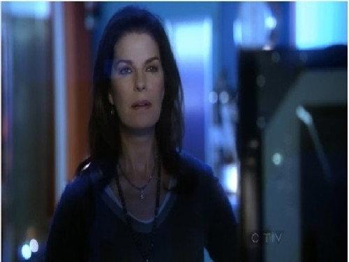 CSI: NY Season 9 Episode 9 - Blood Out