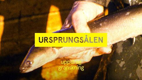 Uppdrag granskning Season 22 Episode 25 - Episode 25