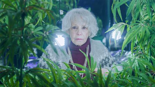 Family Business Season 1 Episode 5 - Pastraweed