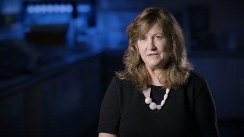 Background image for Karol Kot