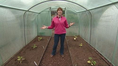 The Beechgrove Garden Season 36 Episode 11 - Episode 11