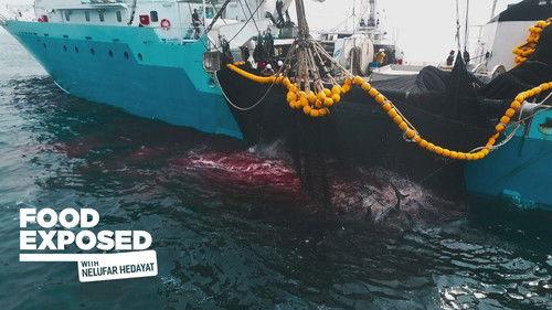 Food Exposed with Nelufar Hedayat Season 1 Episode 2 - Fish