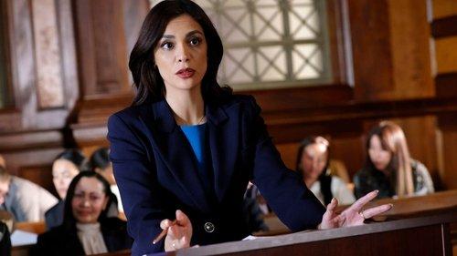 Law & Order Season 24 Episode 10 - Greater Good