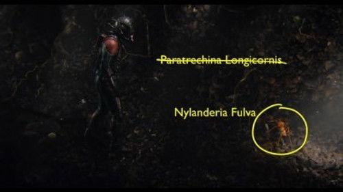 Faux raccord Season 8 Episode 7 - Episode 7