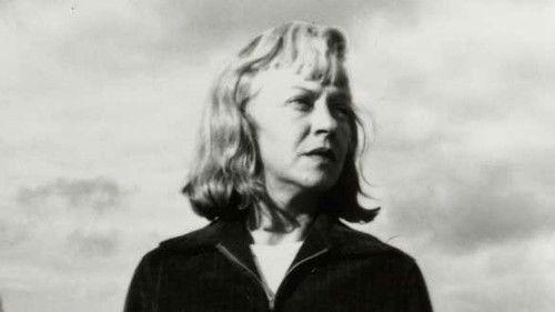 POV Season 3 Episode 8 - Days of Waiting