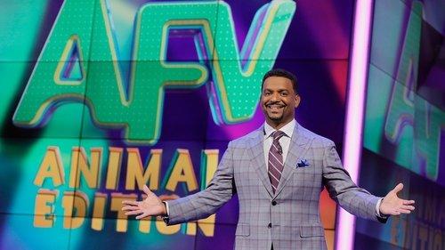 America's Funniest Home Videos: Animal Edition Season 1 Episode 3 - Feelin' Squirrely