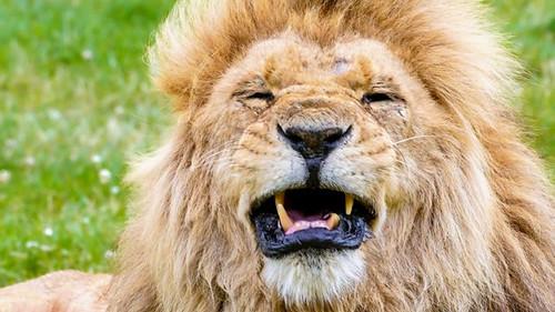 Animal Park Season 22 Episode 7 - Summer 2023: Episode 7