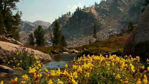 Oregon Field Guide Season 28 Episode 2 - Disappearing Meadows